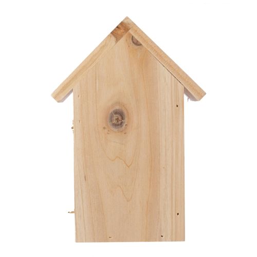 Abri pour papillons - image 4